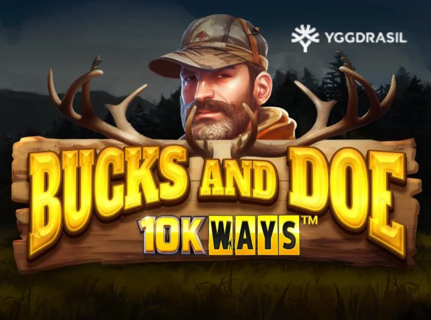 Baymavi’de Bucks And Doe Nasıl Oynanır?